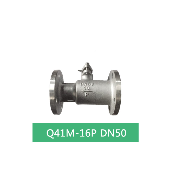 Q41M-16P-DN50